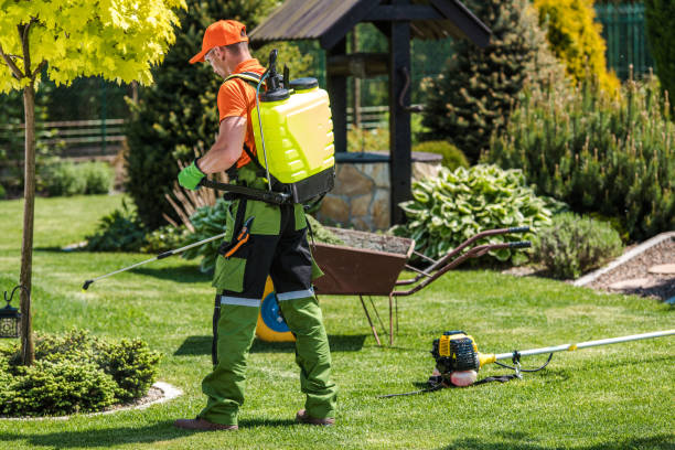 Best Fumigation Services  in Beloit, KS